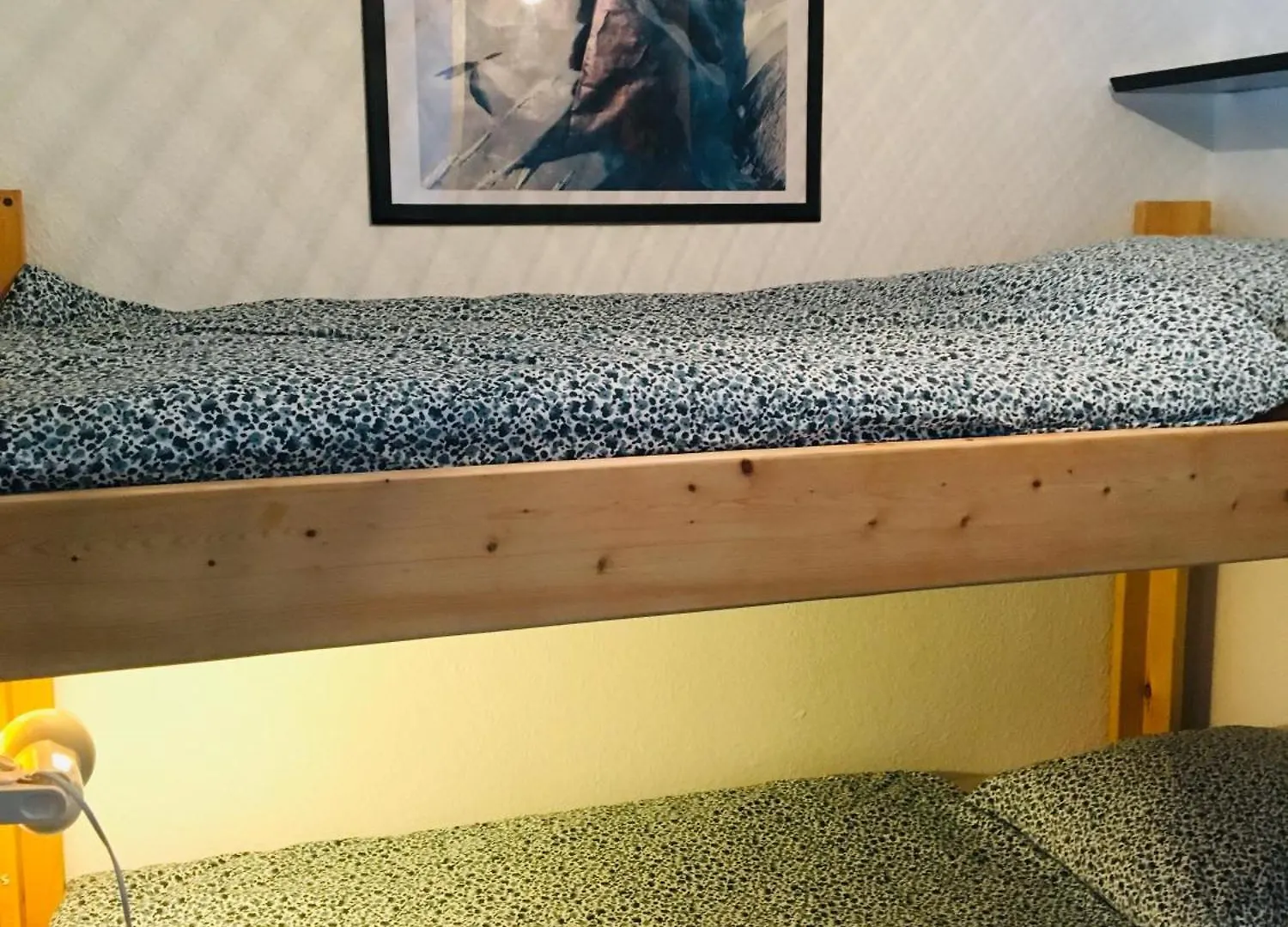 Lumineux Appartement 2 Alpes Venosc France